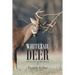 Whitetail Deer Facts and Strategies