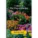 Colour In The Flower Garden