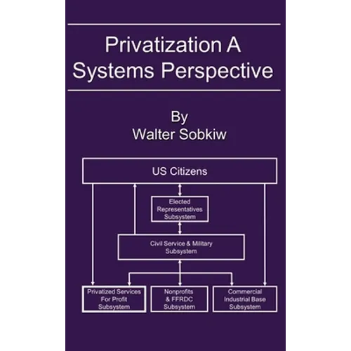 Privatization A Systems Perspective