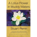 A Lotus Flower In Muddy Waters