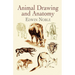 Animal Drawing and Anatomy