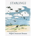 Starlings