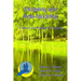 Modeling and Role-Modeling: A Theory and Paradigm for Nurses