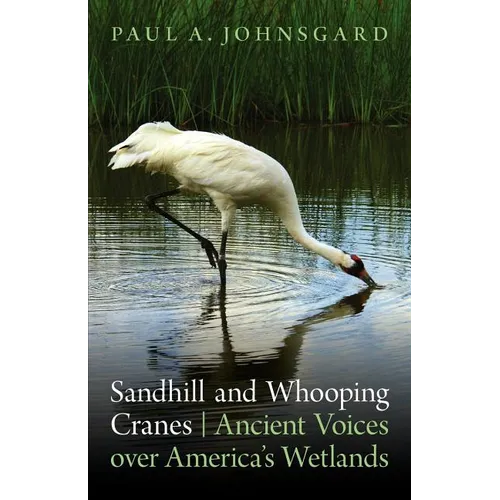 Sandhill and Whooping Cranes: Ancient Voices Over America's Wetlands
