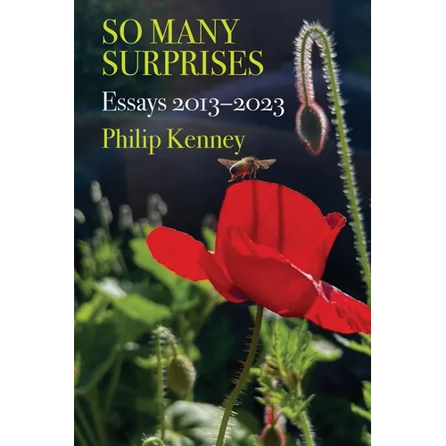 So Many Surprises: Essays 2013-2023