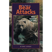 True Stories of Bear Attacks: Who Survived and Why
