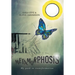 Metamorphosis: My path to transformation