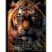 For the Love of All Tigers Realistic Coloring Book