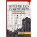 What Killed Downtown?: Norristown, Pennsylvania, from Main Street to the Malls