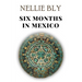 Six Months in Mexico