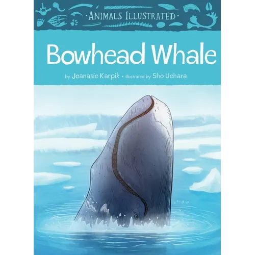 Animals Illustrated: Bowhead Whale