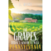 The Grapes Didn't Know it Was Pennsylvania