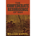 The Confederate Resurgence of 1864