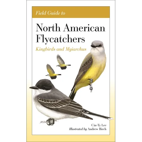 Field Guide to North American Flycatchers: Kingbirds and Myiarchus