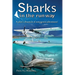 Sharks in the Runway: A Seaplane Pilot's Fifty-Year Journey Through Bahamian Times!