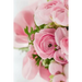 Pink Roses: Light Pink Roses Express Gentleness and Admiration While Dark Pink Roses Show Gratitude.