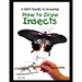 How to Draw Insects