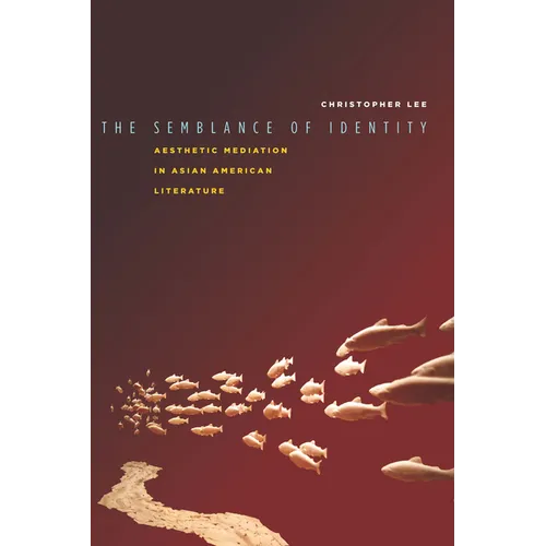The Semblance of Identity: Aesthetic Mediation in Asian American Literature