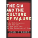 The CIA and the Culture of Failure: U.S. Intelligence from the End of the Cold War to the Invasion of Iraq