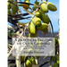A Practical Treatise on Olive Growing: Also Olive Oil Making and Olive Pickling