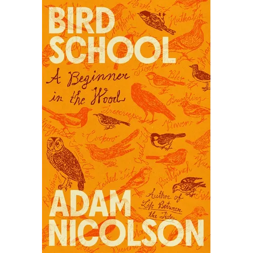 Bird School: A Beginner in the Wood