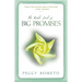 Little Book of Big Promises