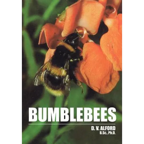 Bumble Bees