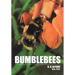 Bumble Bees