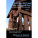 Love For & From My 4-Legged Son: How an ordinary golden retriever became an extraordinary dog