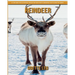 Reindeer: A Fun and Educational Book for Kids with Amazing Facts and Pictures