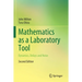 Mathematics as a Laboratory Tool: Dynamics, Delays and Noise