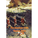 The American Crisis: Writings from the American Revolutionary War