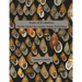 Icons of Evolution: Pacific Island tree-snails of the family Partulidae