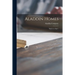 Aladdin Homes: "built in a Day".