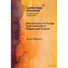 Mechanisms of Change and Creativity in Nature and Culture