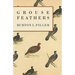 Grouse Feathers