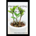 Propagating Plants Book Guide: The Essential Guide On Principles And Practices To Create New Plants