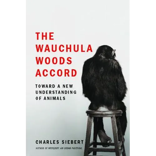 Wauchula Woods Accord