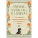 Animal, Vegetal, Marginal: The German Literary Grotesque from Panizza to Kafka