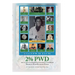 2% Pwd: The 40 Laws of Entrepreneur Disability Leadership: Disability Earn Economic Power