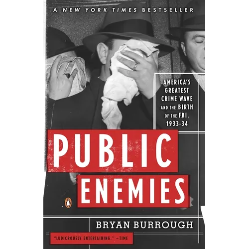 Public Enemies: America's Greatest Crime Wave and the Birth of the Fbi, 1933-34