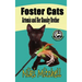 Foster Cats: Artemis and Her Sneaky Brother (A Happy Jack Cats Adventure Book 1) LARGE PRINT: Artemis and Her Sneaky Brother (A Happy Jack Cats Advent
