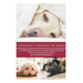 Cushing's Disease in Dogs: A Comprehensive Guide to Cushing's Disease in Dogs Written by Veterinary Expert Dr. Gordon Roberts