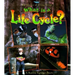 What Is a Life Cycle?