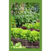 Backyard Gardening Book Guide: All You Need To Know About Sustainable-Living Guide Of Backyard Gardening