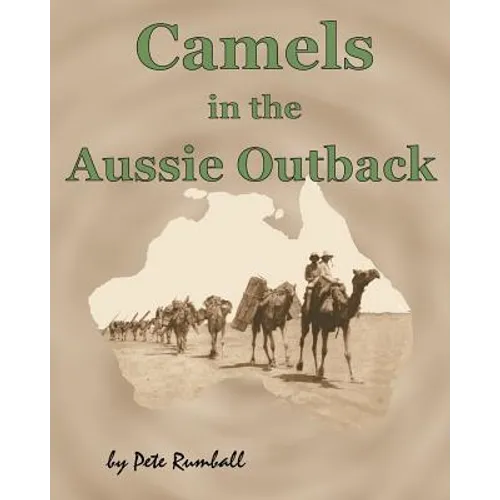 Camels in the Aussie Outback