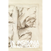 In Insomnia: An Anthology