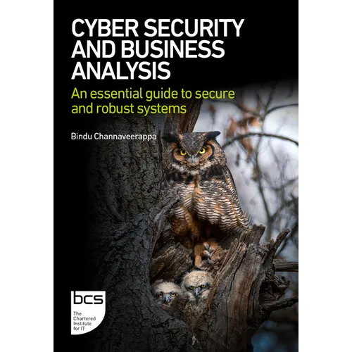 Cyber Security and Business Analysis: An Essential Guide to Secure and Robust Systems