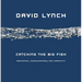 Catching the Big Fish: Meditation, Consciousness, and Creativity