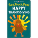 See, Touch, Feel: Happy Thanksgiving